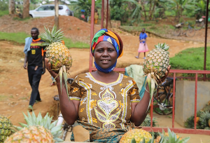 Pelagie Uwamukijije sells and stores pineapples at the estab-lished collection center in Nyamagabe district