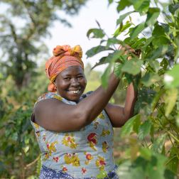 coffee farmer in uganda