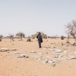 Mareya Ibrahim, stands among the carcasses of her livestock.