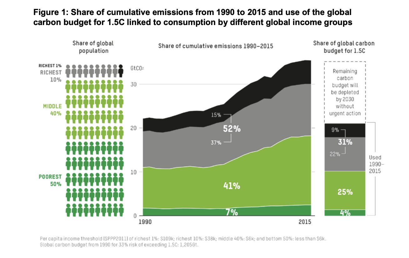 carbon emissions report stat