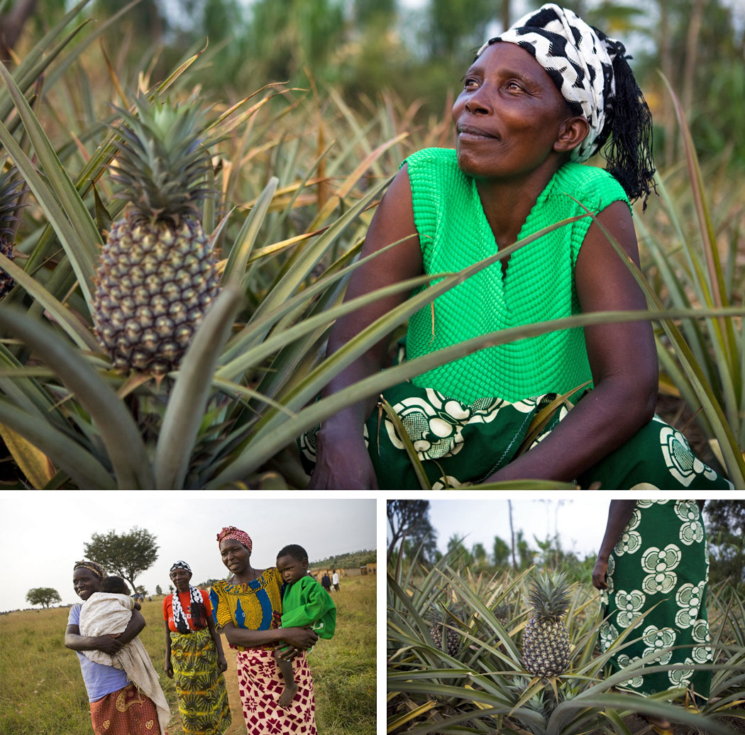 pineapple collage