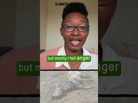 Thumbnail image from the video source