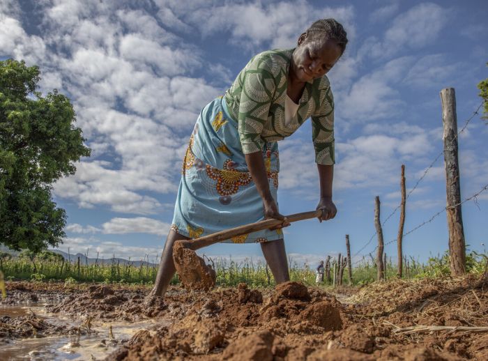 Female farmer working on the ground