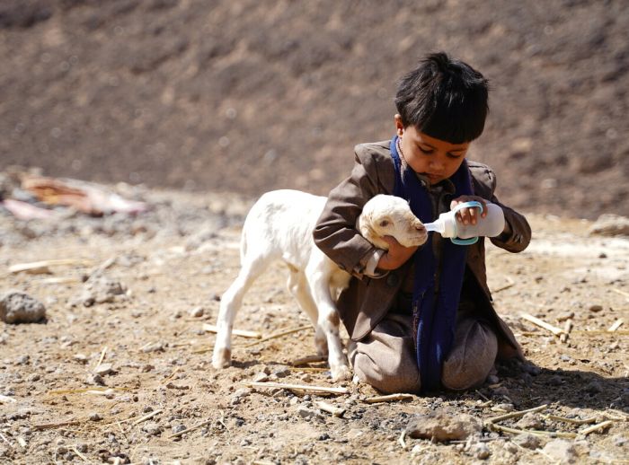 Omar feeding a goat