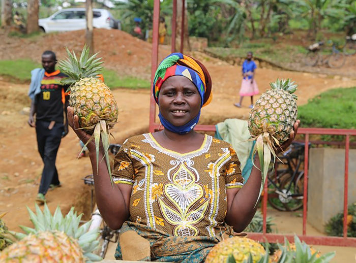 Pelagie Uwamukijije sells and stores pineapples at the estab-lished collection center in Nyamagabe district