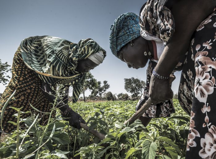 women farmers in Burkina Faso