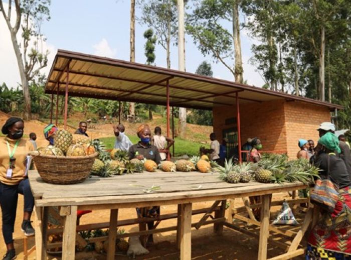 The collection center for pineapples in Nyamagabe District helps farmers to sell and to keep the rest of the pineapples in a good condition.