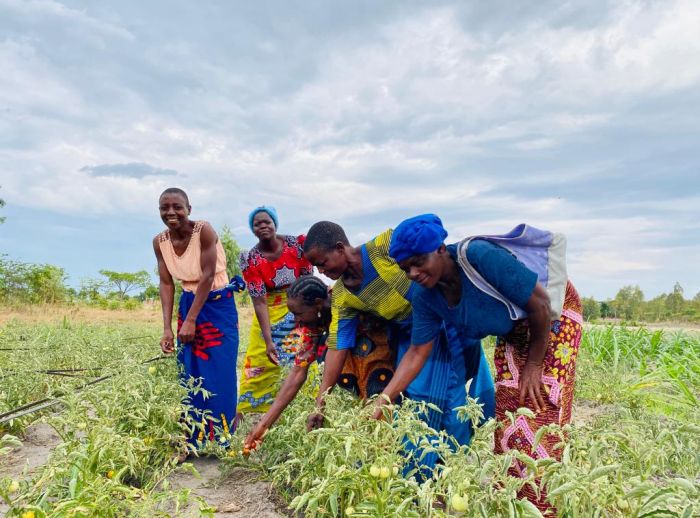 Women farmers working on crops