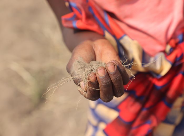 Soil not growing food in Malawi