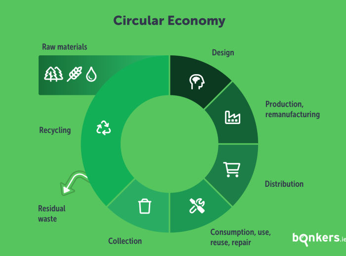 Circular Economy infographic