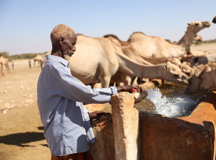 Mohamed Yusuf Bulaale tends camels at an Oxfam-built water well in drought-affected Sool Region.