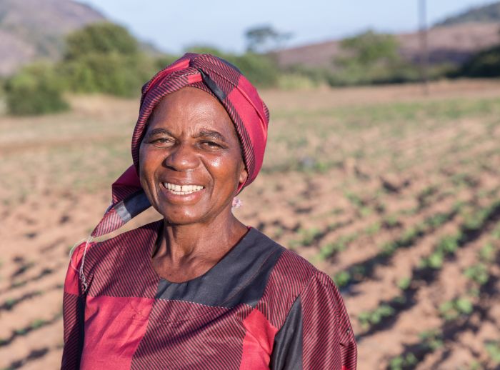 Ottilia Tarutira stands in a thriving field in Zimbabwe, supported by solar irrigation from the CARL project.
