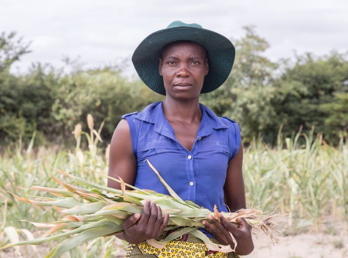 Elizabeth Mutimwii, a smallholder farmer and savings club leader in Zimbabwe, stands amid the challenges of climate breakdown.