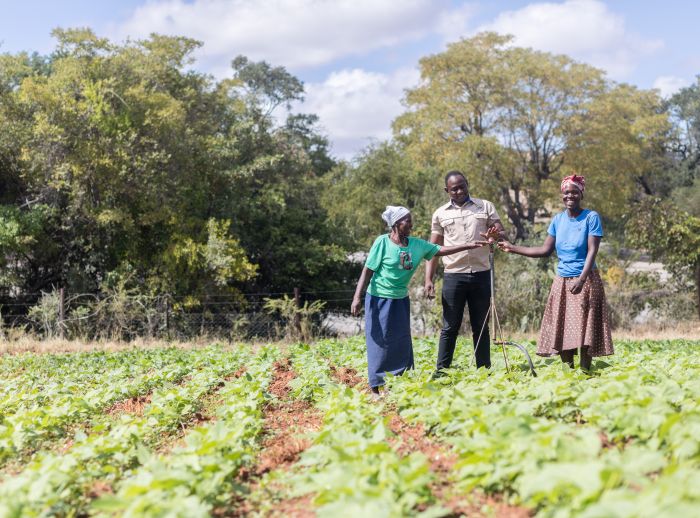 Irene Mafumba, Mapiye Chitanda and Magness Mukuze at Ruti irrigation scheme in Gutu District, Zimbabwe