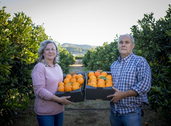 María and Francesc in their orange grove in Valencia