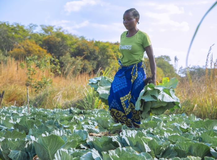Tiyango Chinenge in her field in Zambia