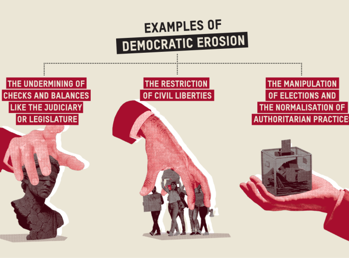 Examples of Democratic Erosion.