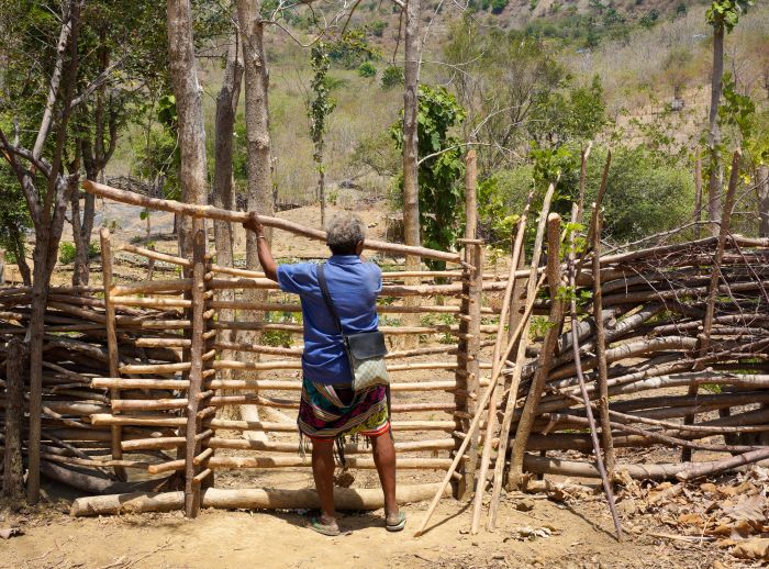 Domingas' community maintains a vegetable garden  