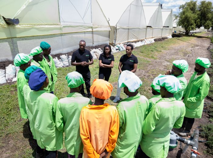 The Aromatic Fresh officials holding a meeting with their staff.