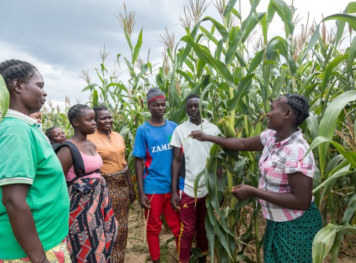 Angela and her students in the corn field.