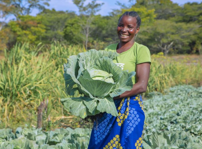 A lady in a green shirt smiles, carrying a large cabbage through a green field