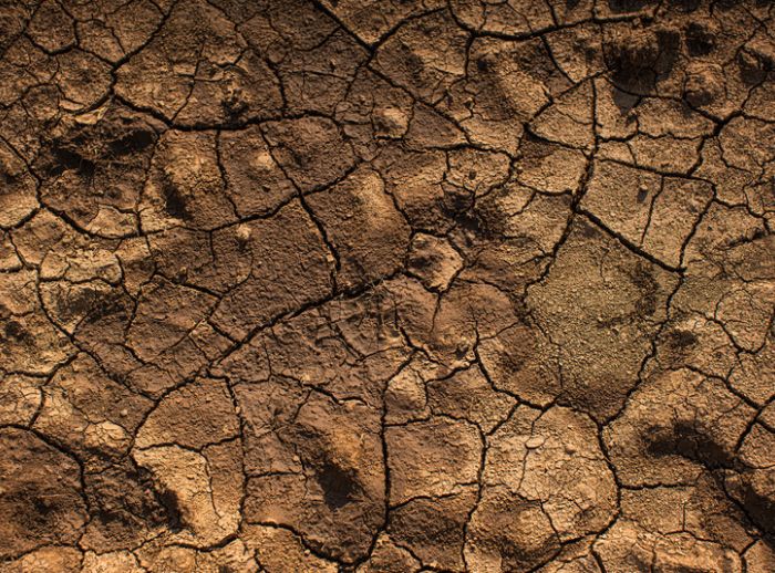 Extremely dry arid land