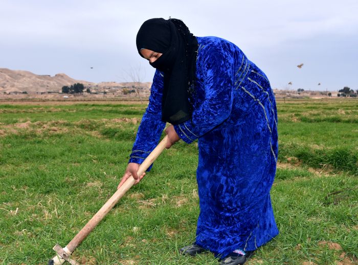 woman farming in rural Syria