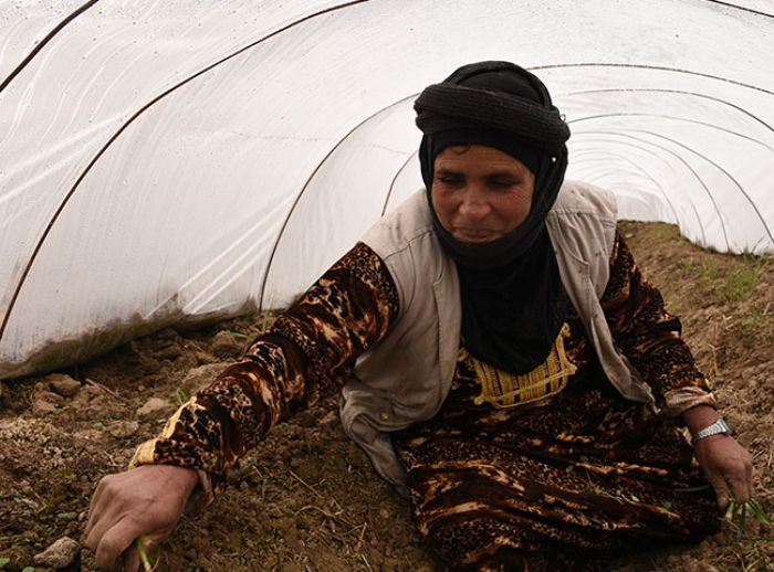 Syrian woman regrows her garden and livelihood