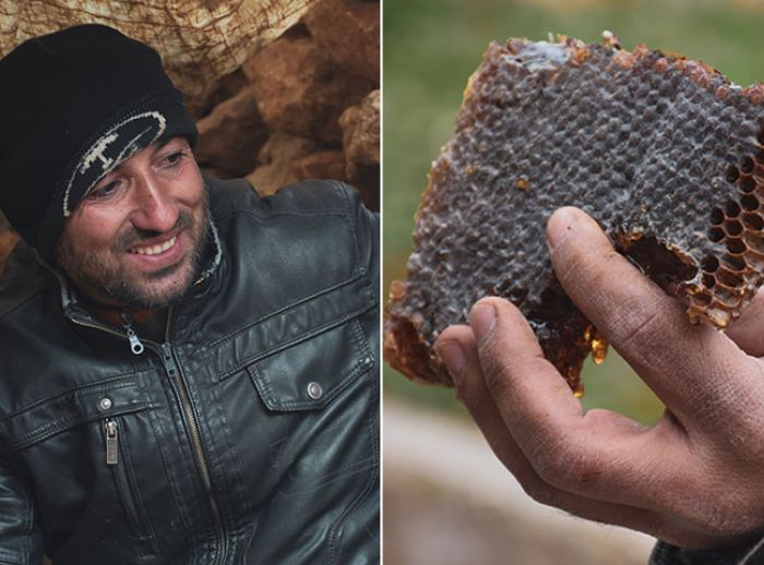 Syrian man builds new livelihood by beekeeping