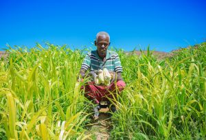 Farmer holding his farm production