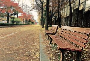 Bench