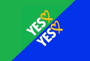 Yes Yes Vote