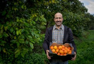 Paco Alabau, standing with a box of oranges in the middle of the field