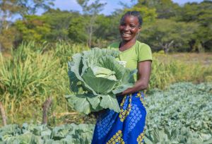 Tiyango Chinenge in her field in Zambia