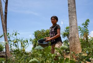 Dominga maintaining a vegetable garden 