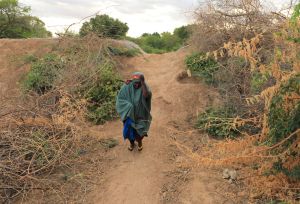 Saada Abdulahi carrying jerrycan of water.