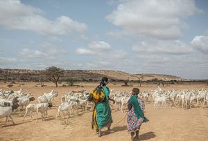 Women walking on arid land