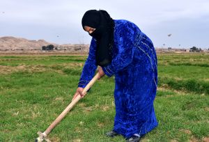 woman farms her land in rural Syria