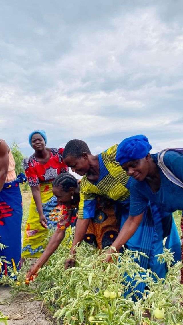 Women farmers working on crops