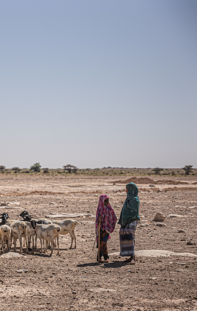 2026_spring_appeal_water