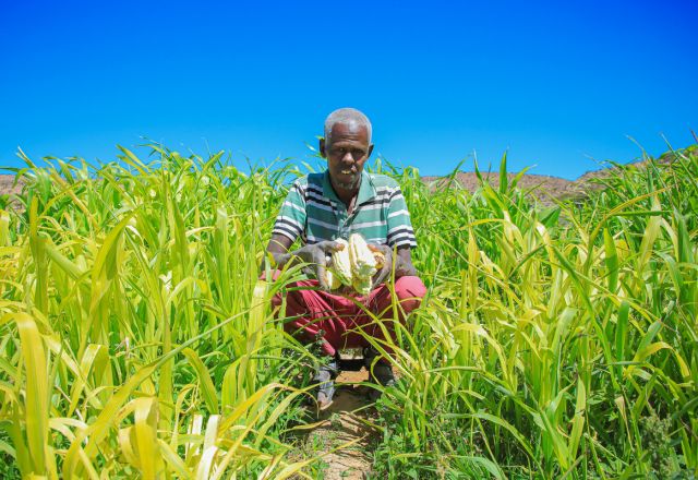 Farmer holding his farm production