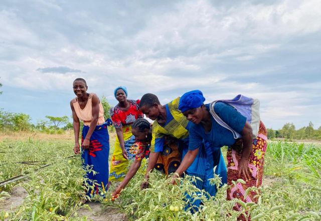 Women farmers working on crops