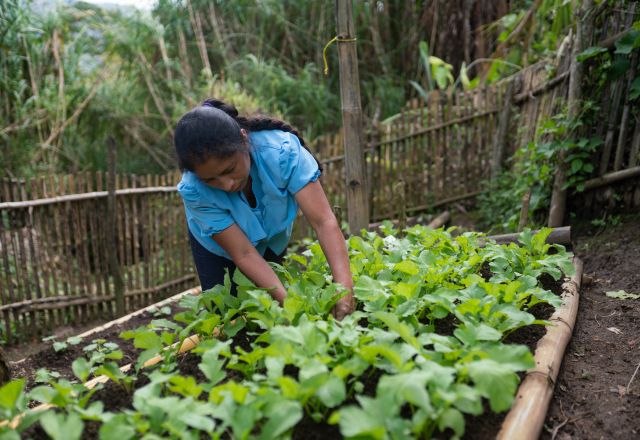 Women working on her crops