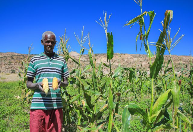 Ismail Ali Osman holding his farm production