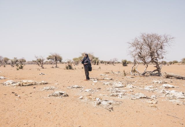 Mareya Ibrahim, stands among the carcasses of her livestock.