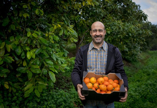 Paco Alabau, standing with a box of oranges in the middle of the field