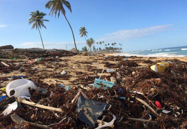 beach with litter all over the sand