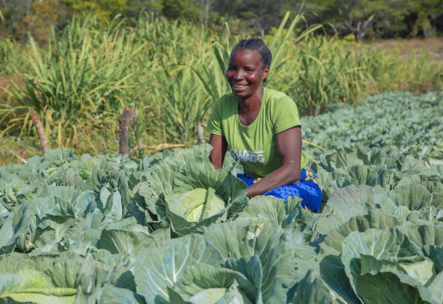 Tiyango Chinenge in her field in Zambia