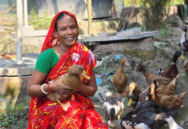 Konika is feeding her chickens and ducks.