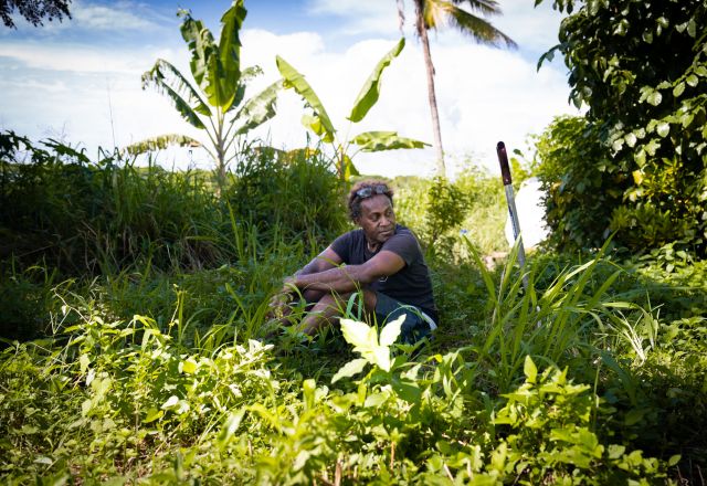 A farmer sitting in the middle a green field